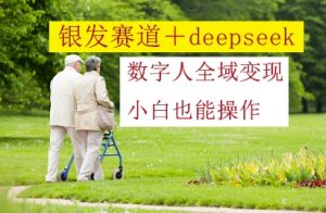 银发赛道+deepseek数字人全域变现，小白也能操作_网创资源库