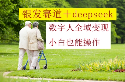 银发赛道+deepseek数字人全域变现，小白也能操作_网创资源库
