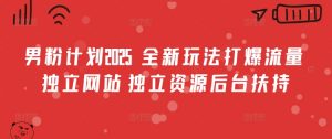 男粉计划2025  全新玩法打爆流量 独立网站 独立资源后台扶持【揭秘】_网创资源库