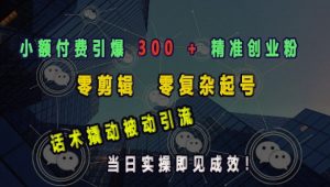 小额付费引爆 300 + 精准创业粉，零剪辑、零复杂起号，话术撬动被动引流，当日实操即见成效_网创资源库