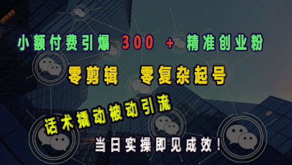 小额付费引爆 300 + 精准创业粉，零剪辑、零复杂起号，话术撬动被动引流，当日实操即见成效_网创资源库