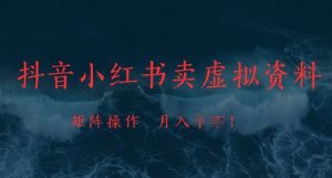 抖音小红书卖虚拟资料，市场需求一直存在，矩阵操作，月入1w+_网创资源库
