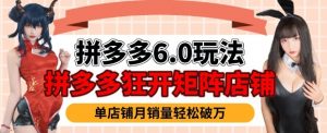 拼多多虚拟商品暴利6.0玩法，轻松实现月入过W_网创资源库