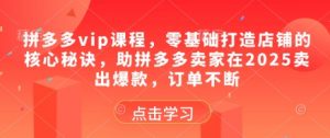 拼多多vip课程，零基础打造店铺的核心秘诀，助拼多多卖家在2025卖出爆款，订单不断_网创资源库