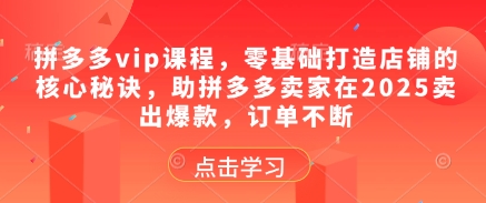 拼多多vip课程，零基础打造店铺的核心秘诀，助拼多多卖家在2025卖出爆款，订单不断_网创资源库