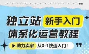 独立站新手入门体系化运营教程，助力独立站卖家从0-1快速入门!_网创资源库