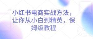 小红书电商实战方法，让你从小白到精英，保姆级教程_网创资源库