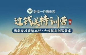 剽悍一只猫-过钱关特训营，学习营销真经 大幅度提高创富效率_网创资源库