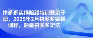 拼多多实操陪跑特训营弟子班，2025年2月拼多多实操课程，海量拼多多玩法_网创资源库