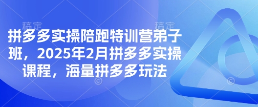 拼多多实操陪跑特训营弟子班，2025年2月拼多多实操课程，海量拼多多玩法_网创资源库