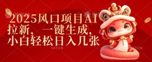 2025风口项目AI拉新，一键生成，小白轻松日入几张_网创资源库