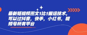 最新短视频图文1比1搬运技术，可以过抖音，快手，小红书，视频号所有平台_网创资源库