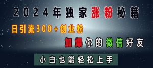 2024年独家涨粉秘籍，日引流300+创业粉，加爆你的微信好友，小白也能轻松上手_网创资源库