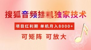 全网首发搜狐音频挂JI独家技术，项目红利期，可矩阵可放大，稳定月入8k【揭秘】_网创资源库