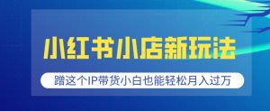 小红书小店新玩法，蹭这个IP带货，小白也能轻松月入过W【揭秘】_网创资源库