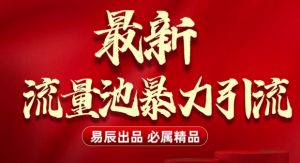 最新“流量池”无门槛暴力引流(全网首发)日引500+_网创资源库