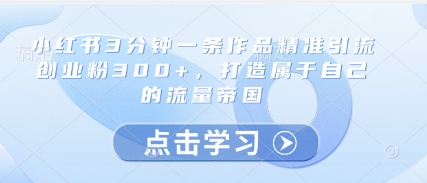 小红书3分钟一条作品精准引流创业粉300+，打造属于自己的流量帝国_网创资源库