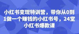 小红书变现特训营，带你从0到1做一个赚钱的小红书号，24堂小红书爆款课_网创资源库