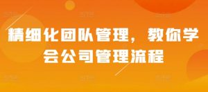 精细化团队管理，教你学会公司管理流程_网创资源库