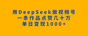 用DeepSeek做视频号，一条作品点赞几十万，单日变现1k_网创资源库