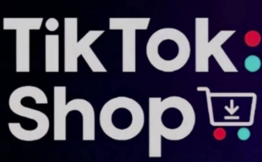 TikTokShop跨境电商0-1实战，手把手教你低成本启动海外市场（更新）_网创资源库