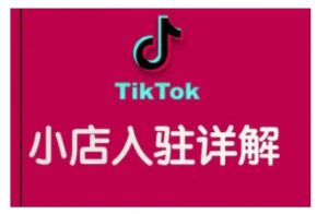 TikTok跨境小店运营全攻略，帮助你独立运营TK跨境小店的能力，实现销量增长_网创资源库
