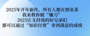 2025年开年新作，所有人都在割韭菜，我来教你做“镰刀” 2025让支持我的好兄弟们都可以通过“知识付费”拿到满意的成绩【揭秘】_网创资源库