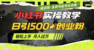 2月小红书最新日引500+创业粉实操教学【超详细】小白轻松上手，月入1W+，附小红书养号起号SOP_网创资源库