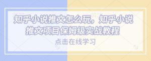 知乎小说推文怎么玩，知乎小说推文项目保姆级实战教程_网创资源库