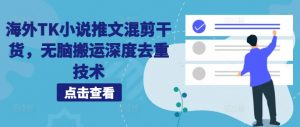 海外TK小说推文混剪干货，无脑搬运深度去重技术_网创资源库