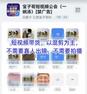 宝子哥头部团队短视频带货，以混剪为主，不需要真人出镜，不需要拍摄_网创资源库