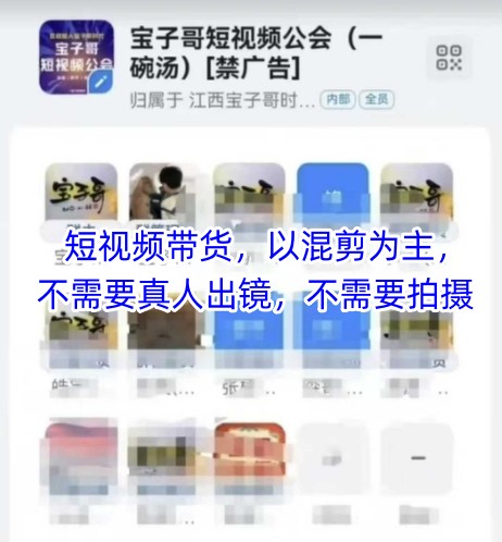 宝子哥头部团队短视频带货，以混剪为主，不需要真人出镜，不需要拍摄_网创资源库