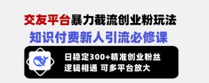 交友平台暴力截流创业粉玩法，知识付费新人引流必修课，日稳定300+精准创业粉丝，逻辑相通可多平台放大_网创资源库