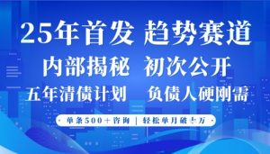 2025年首次公开，真正的事业型赛道，客咨不断，单月轻松破W_网创资源库