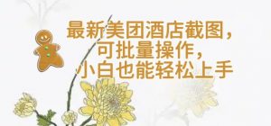 【轻云】最新美团酒店截图，可批量操作，小白也能轻松上手_网创资源库