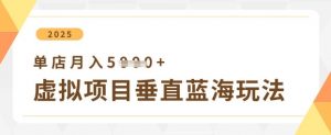 虚拟项目垂直玩法，实现单店月入5k+_网创资源库