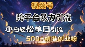 跨平台暴力引流，私域完美闭环，日引500+精准创业粉_网创资源库