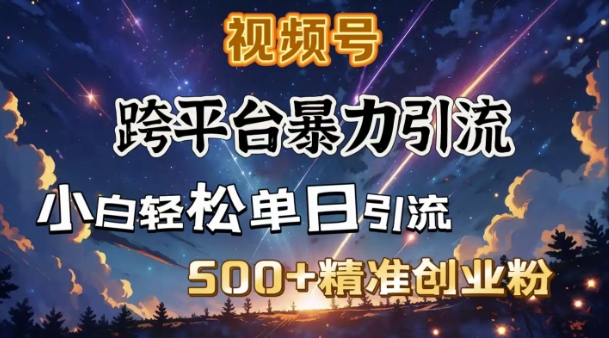 跨平台暴力引流，私域完美闭环，日引500+精准创业粉_网创资源库
