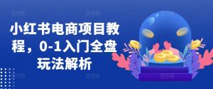 小红书电商项目教程，0-1入门全盘玩法解析_网创资源库