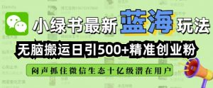 小绿书无脑搬运引流，全自动日引500精准创业粉，微信生态内又一个闷声发财的机会_网创资源库