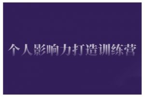 个人影响力打造训练营，掌握公域引流、私域运营、产品定位等核心技能，实现从0到1的个人IP蜕变_网创资源库
