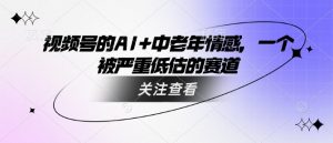 视频号的AI+中老年情感，一个被严重低估的赛道_网创资源库