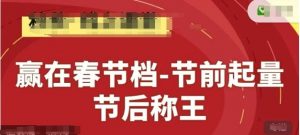 赢在春节档-节前起量，后称王，淘系精品线上系列课_网创资源库