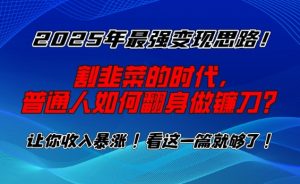 2025年最强变现思路，割韭菜的时代， 普通人如何翻身做镰刀？【揭秘】_网创资源库
