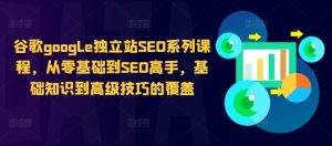 谷歌google独立站SEO系列课程，从零基础到SEO高手，基础知识到高级技巧的覆盖_网创资源库