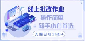 线上批改作业，操作简单新手小白首选，无脑日收300+【揭秘】_网创资源库