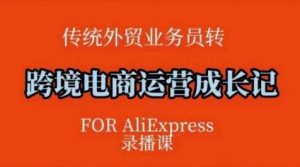 跨境电商速卖通运营课，​运营方法论+后台实操，逻辑清晰_网创资源库