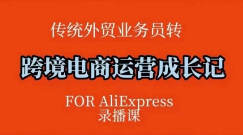 跨境电商速卖通运营课，​运营方法论+后台实操，逻辑清晰_网创资源库