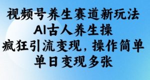 视频号养生赛道新玩法，AI古人养生操，疯狂引流变现，操作简单，单日变现多张_网创资源库