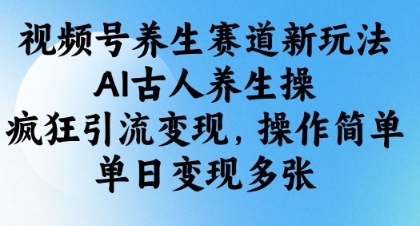 视频号养生赛道新玩法，AI古人养生操，疯狂引流变现，操作简单，单日变现多张_网创资源库
